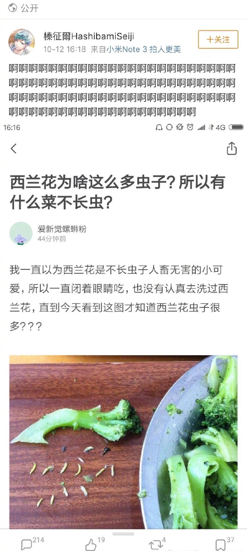 如何去掉西蘭花上的蟲子？99％的人不會(huì)處理啊