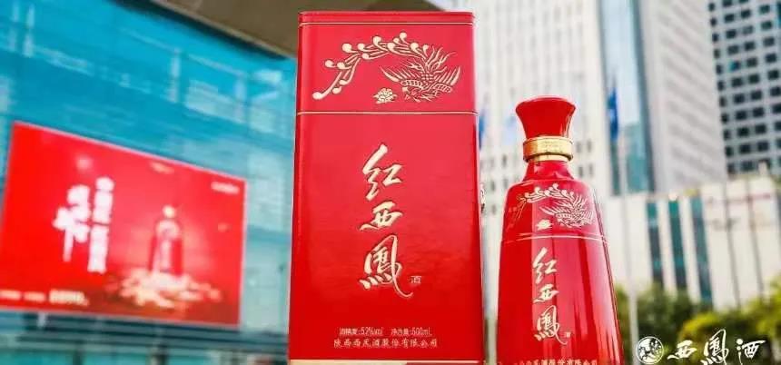 重磅！自今天起紅西鳳正式開啟“配額制”