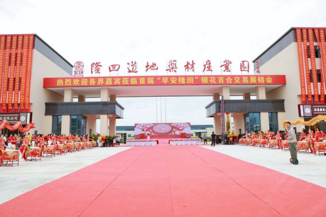 隆回中藥材產(chǎn)業(yè)盛會圓滿收官 鄉(xiāng)村振興開啟超燃新篇