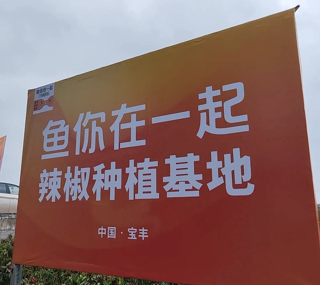 魚你在一起榮獲兩項大獎，展現(xiàn)新質(zhì)生產(chǎn)力下的雇主品牌變革