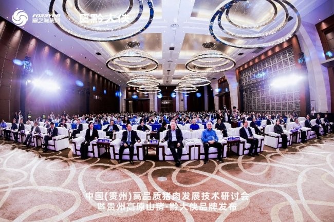 黔大俠品牌正式發(fā)布，貴州高原山豬走向全國餐桌